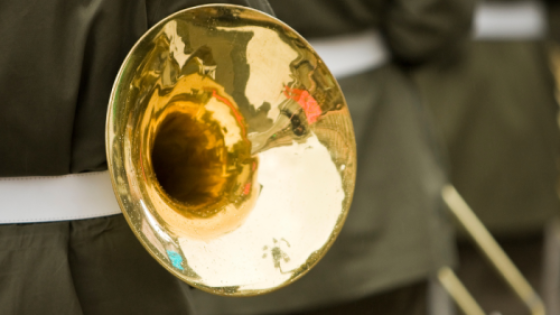 Estadísticas Suboficiales Músicos 2025