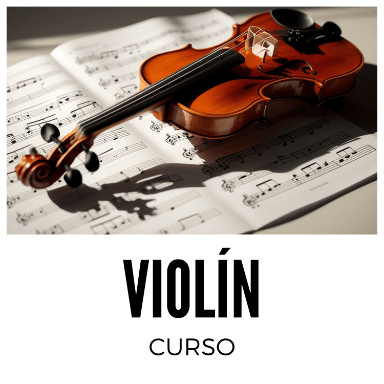 Violín